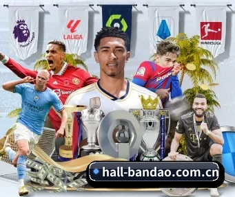 hall-bandao.com.cn APP